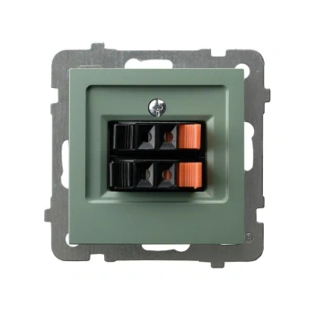 AS Gniazdo głośnikowe podwójne zielony mat